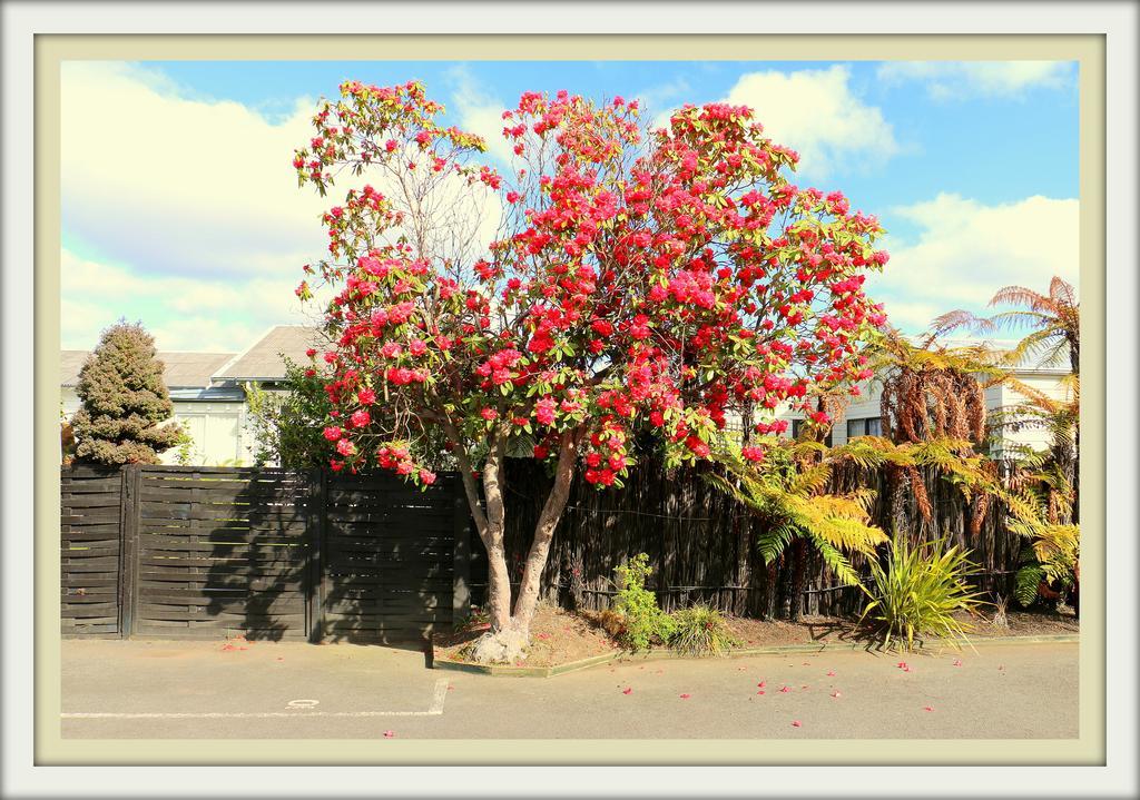 Victoria Lodge Rotorua Ngoại thất bức ảnh