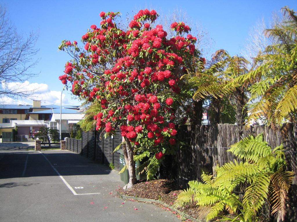 Victoria Lodge Rotorua Ngoại thất bức ảnh